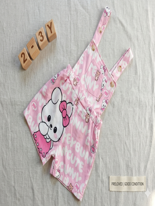 Baby girl Romer 2 to 3 year girl